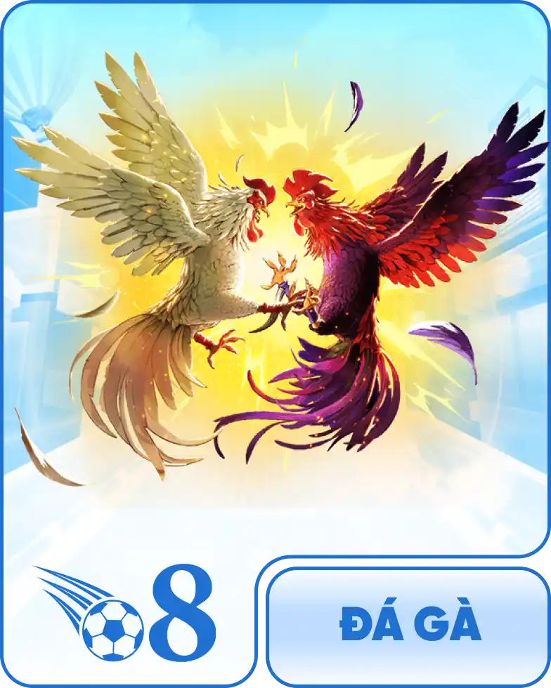 Card 3